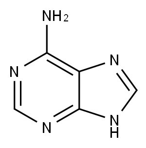 Adenine Struktur