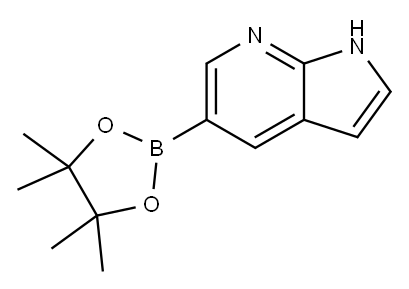 5-(4,4,5,5-テトラメチル-1,3,2-ジオキサボロラン-2-イル)-1H-ピロロ[2,3-B]ピリジン