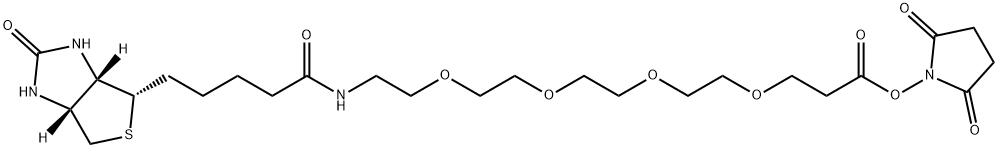 21-[(3AS,4S,6AR)-六氢-2-氧代-1H-噻吩并[3,4-D]咪唑-4-基]-17-氧代-4,7,10,13-四氧杂-16-氮杂二十一碳酸 2,5-二氧代-1-吡咯烷基酯, 459426-22-3, 结构式