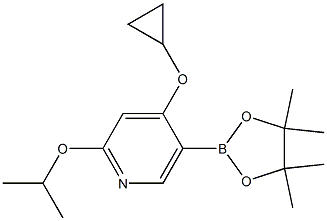 2-异丙氧基-5(4,4,5,5-四甲基-1,3,2-二杂氧戊硼烷-2-基)吡啶cas号