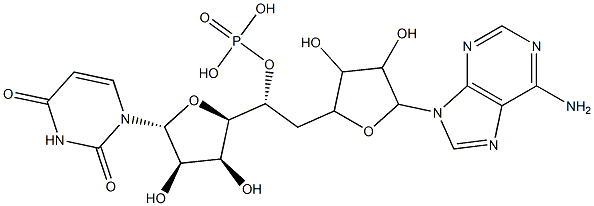 adenylyl-(3'-5')-uridine 5'-phosphate 结构式