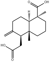 (1S,4aα)-5β-Carboxydecahydro-5,8aβ-dimethyl-2-methylene-1-naphthaleneacetic acid|