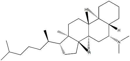 N,N-Dimethyl-5α-cholestan-6β-amine Structure