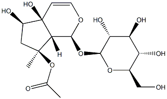 8-O-acetylharpagide Struktur
