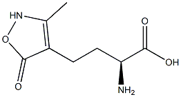 (S)-2-Amino-4-[(2,5-dihydro-3-methyl-5-oxoisoxazol)-4-yl]butyric acid
