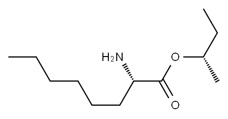 (S)-2-Aminooctanoic acid (S)-1-methylpropyl ester