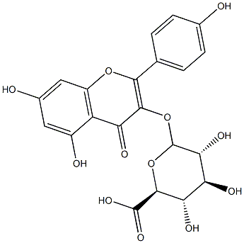 山奈酚葡萄糖醛酸苷