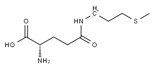 1-[[(S)-4-Amino-4-carboxy-1-oxobutyl]amino]-3-(methylthio)propyl radical