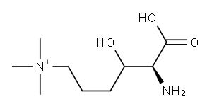 [(5S)-5-amino-5-carboxy-4-hydroxy-pentyl]-trimethyl-azanium|