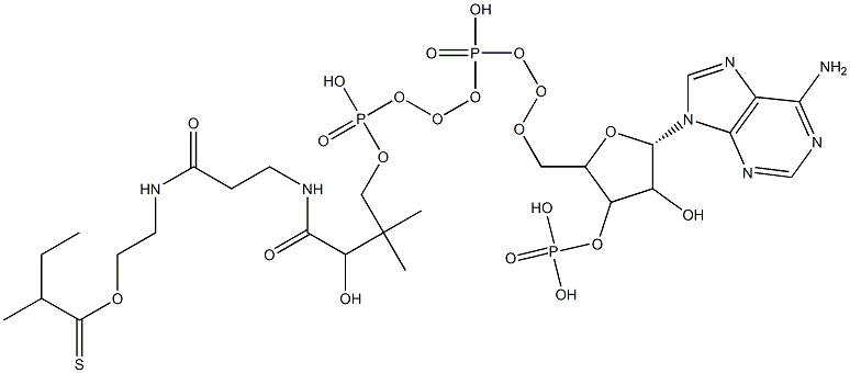 S-[2-[3-[[4-[[[5-(6-aminopurin-9-yl)-4-hydroxy-3-phosphonooxyoxolan-2-yl]methoxy-hydroxyphosphoryl]oxy-hydroxyphosphoryl]oxy-2-hydroxy-3,3-dimethylbutanoyl]amino]propanoylamino]ethyl] 2-methylbutanethioate