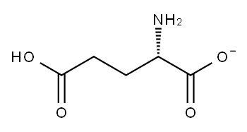 (S)-2-Amino-5-oxo-5-hydroxypentanoic acid anion