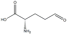 (2S)-2-Amino-5-oxopentanoic acid Structure