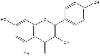 山柰酚(山柰素 结构式