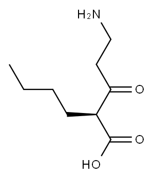 (S)-2-(3-Aminopropanoyl)hexanoic acid
