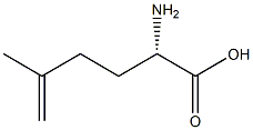 (S)-2-Amino-5-methyl-5-hexenoic acid Structure