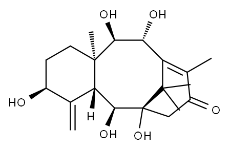 (3S)-1,3,4,4aα,5,6,7,11,12,12aβ-Decahydro-3α,5α,6α,11β,12α-pentahydroxy-9,12aβ,13,13-tetramethyl-4-methylene-6,10-methanobenzocyclodecen-8(2H)-one Structure