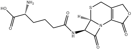 Cephalosporin Impurity 3 HCl Structure