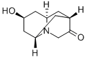 内-六氢-8-羟基-2,6-亚甲基-2H-喹嗪-3(4H)-酮, 115956-07-5, 结构式