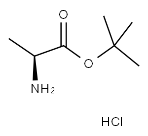 L-アラニンtert-ブチル塩酸塩 化学構造式