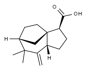 [3S-(3alpha,3aalpha,6alpha,8aalpha)]-octahydro-7,7-dimethyl-8-methylene-1H-3a,6-methanoazulene-3-carboxylic acid Structure