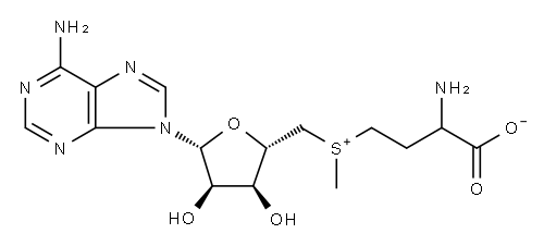 S-ADENOSYL-L-METHIONINE Structure