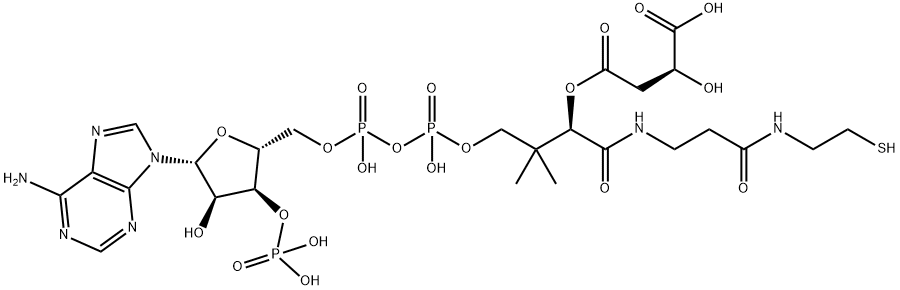 4-[2-[3-[4-[[[5-(6-aminopurin-9-yl)-4-hydroxy-3-phosphonooxy-oxolan-2-yl]methoxy-hydroxy-phosphoryl]oxy-hydroxy-phosphoryl]oxy-2-hydroxy-3,3-dimethyl-butanoyl]aminopropanoylamino]ethylsulfanyl]-2-hydroxy-4-oxo-butanoic acid Structure