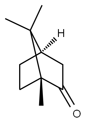 DL-Camphor Structure