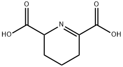 2,3,4,5-tetrahydro-2,6-pyridinedicarboxylic acid Structure