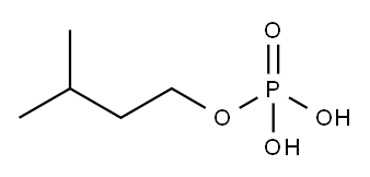 isopentyl dihydrogen phosphate Structure