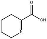 3,4,5,6-tetrahydropyridine-2-carboxylic acid Structure