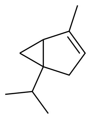 THUJONE, (A + B)(SG) Structure