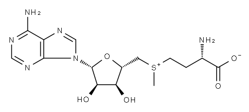 アデノシルメチオニン 化学構造式