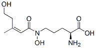 (2S)-2-Amino-5-[N-hydroxy-N-[(Z)-4-hydroxy-2-methyl-1-butenylcarbonyl]amino]valeric acid|