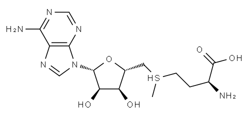 S-adenosylmethionine Structure