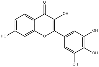3,3',4',5',7-ペンタヒドロキシフラボン 化学構造式