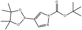 1-(tert-ブトキシカルボニル)-4-(4,4,5,5-テトラメチル-1,3,2-ジオキサボロラン-2-イル)ピラゾール