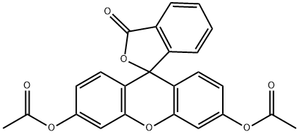 フルオレセイン ジアセタート 化学構造式