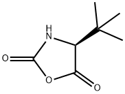 (S)-(-)-4-叔丁基氧氮杂环戊烷-2,5-二酮, 62965-56-4, 结构式