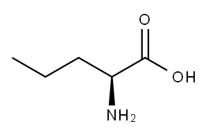 L-正缬氨酸, 6600-40-4, 结构式
