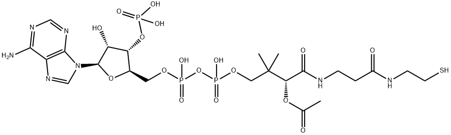 乙酰基辅酶A 结构式