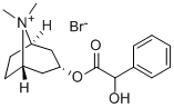 8-Azoniabicyclo(3.2.1)octan,3-((hydroxyphenylacetyl)oxy)-8,8-dimethyl-, bromid, endo(+-)-