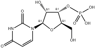 尿苷酸(2