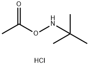 O-Acetyl-N-tert-butylhydroxylamine Hydrochloride Struktur