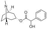 rac-(R*)-α-ヒドロキシベンゼン酢酸(1R,5S)-トロパン-3α-イル