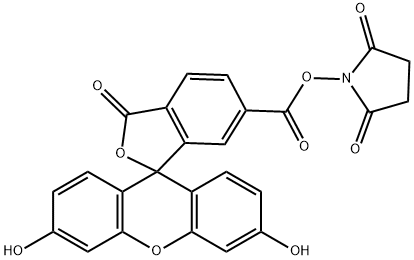 6-羧基荧光素琥珀酰亚胺醚, 92557-81-8, 结构式