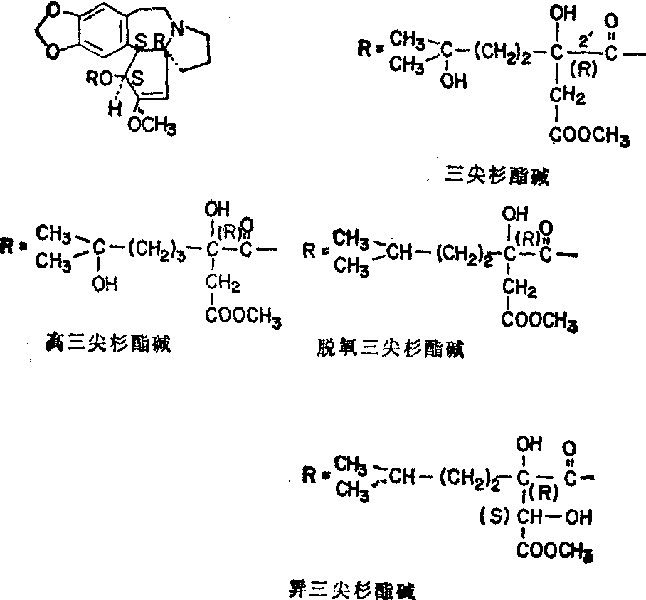 三尖杉碱和四个三尖杉酯碱的结构式