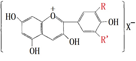 葡萄皮色素主要成分的化学结构式