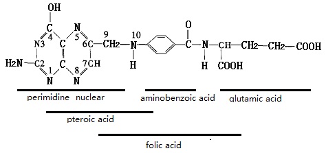 The molecular structural formula of folic acid