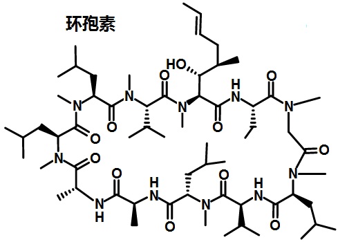 环孢素的结构式