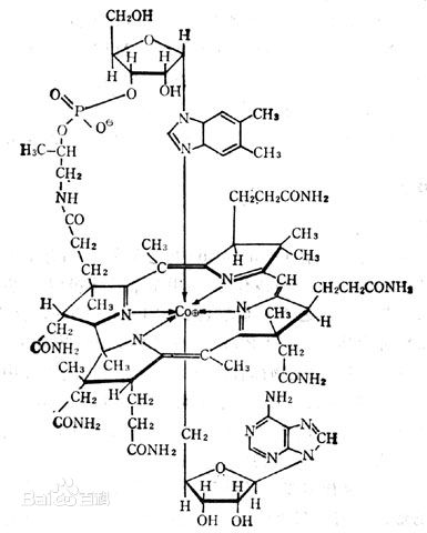 维生素B12分子结构示意图